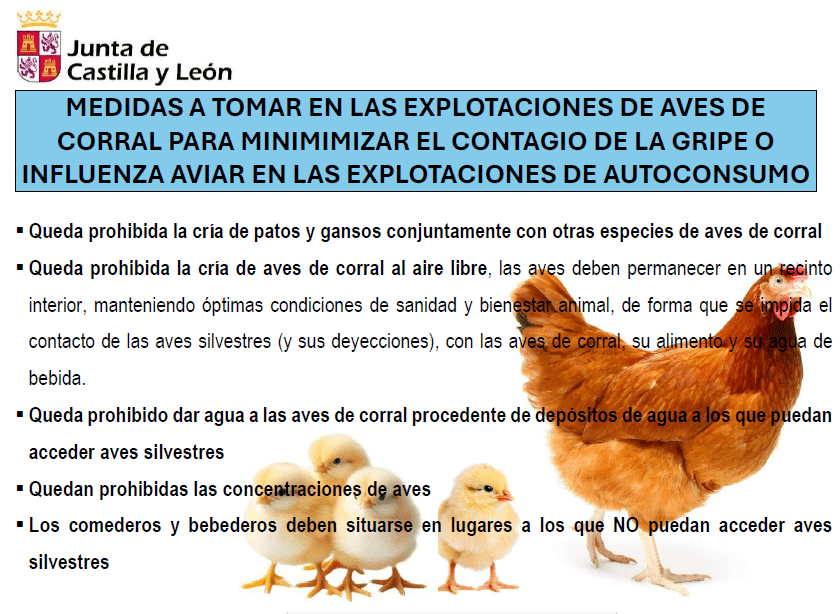 Medidas de prevención y control del contagio por influenza aviar.